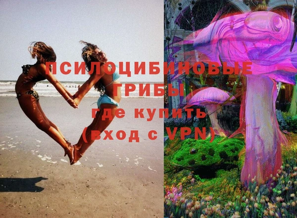 индика Магадан