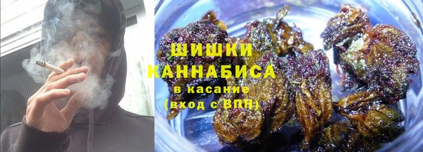 индика Магадан