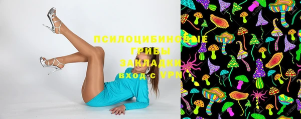 винт Магас