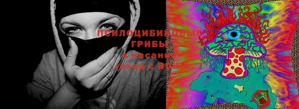 индика Магадан
