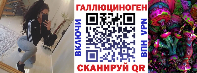 наркотики  Миллерово  Псилоцибиновые грибы Psilocybe 