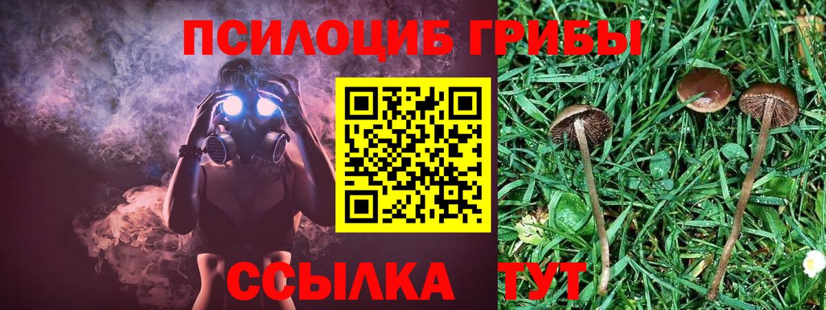 Галлюциногенные грибы Magic Shrooms  Псилоцибиновые грибы GOLDEN TEACHER  Миллерово  Вход с VPN 