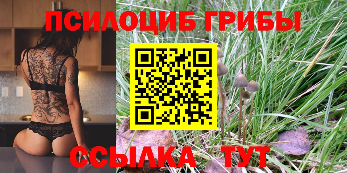 Псилоцибиновые грибы Magic Shrooms Миллерово